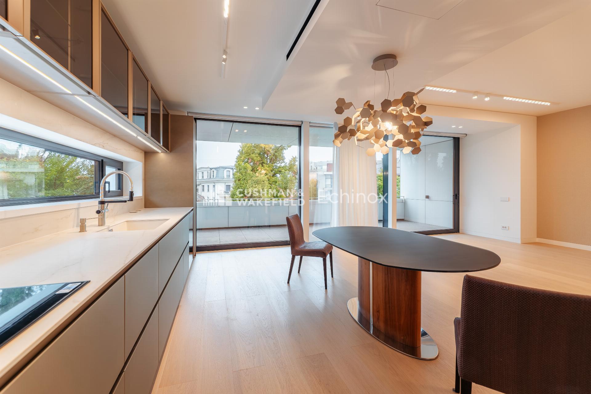 Dorobanti Duplex to Let