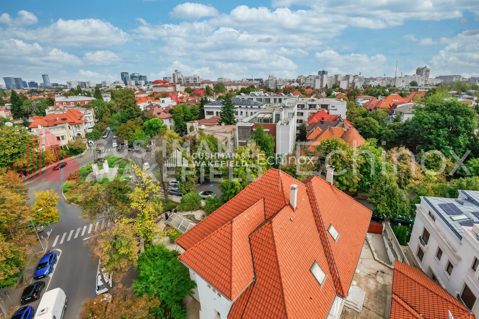 Dorobanti Villa to Let/for Sale