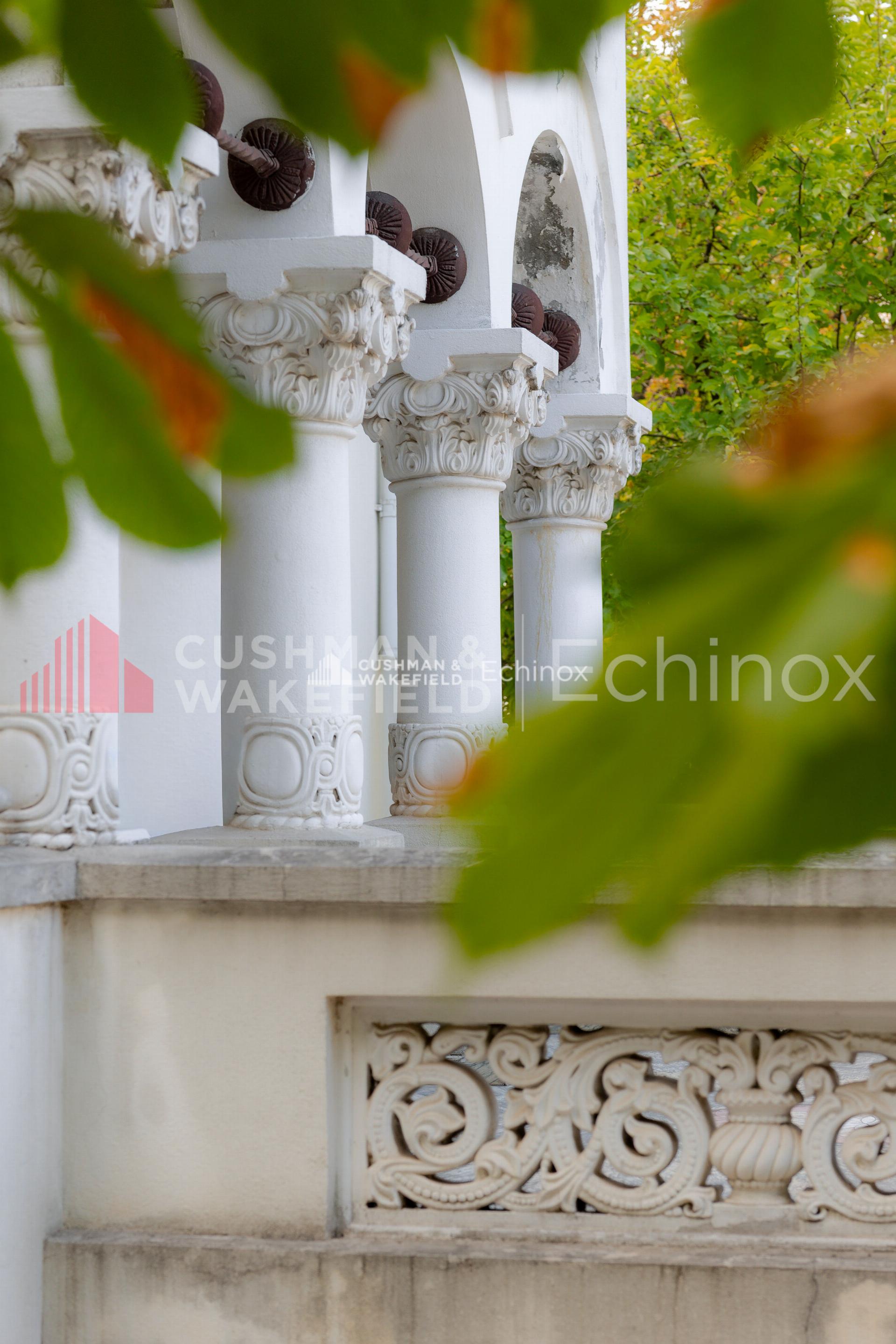 Dorobanti Villa to Let/for Sale