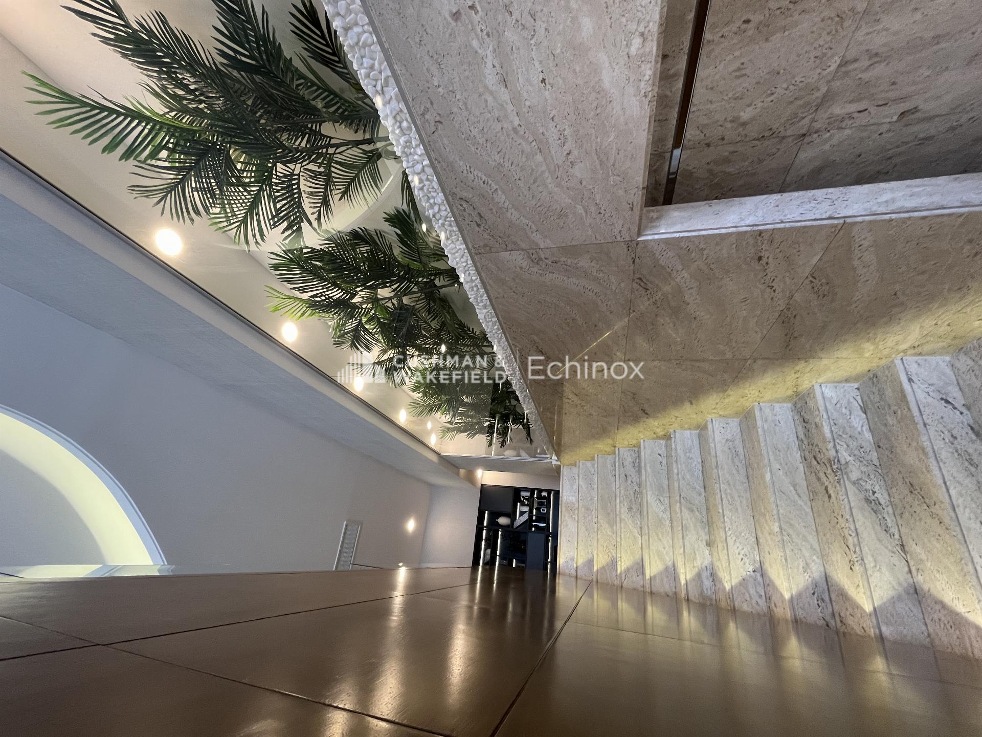 Floreasca Vilă de Vânzare