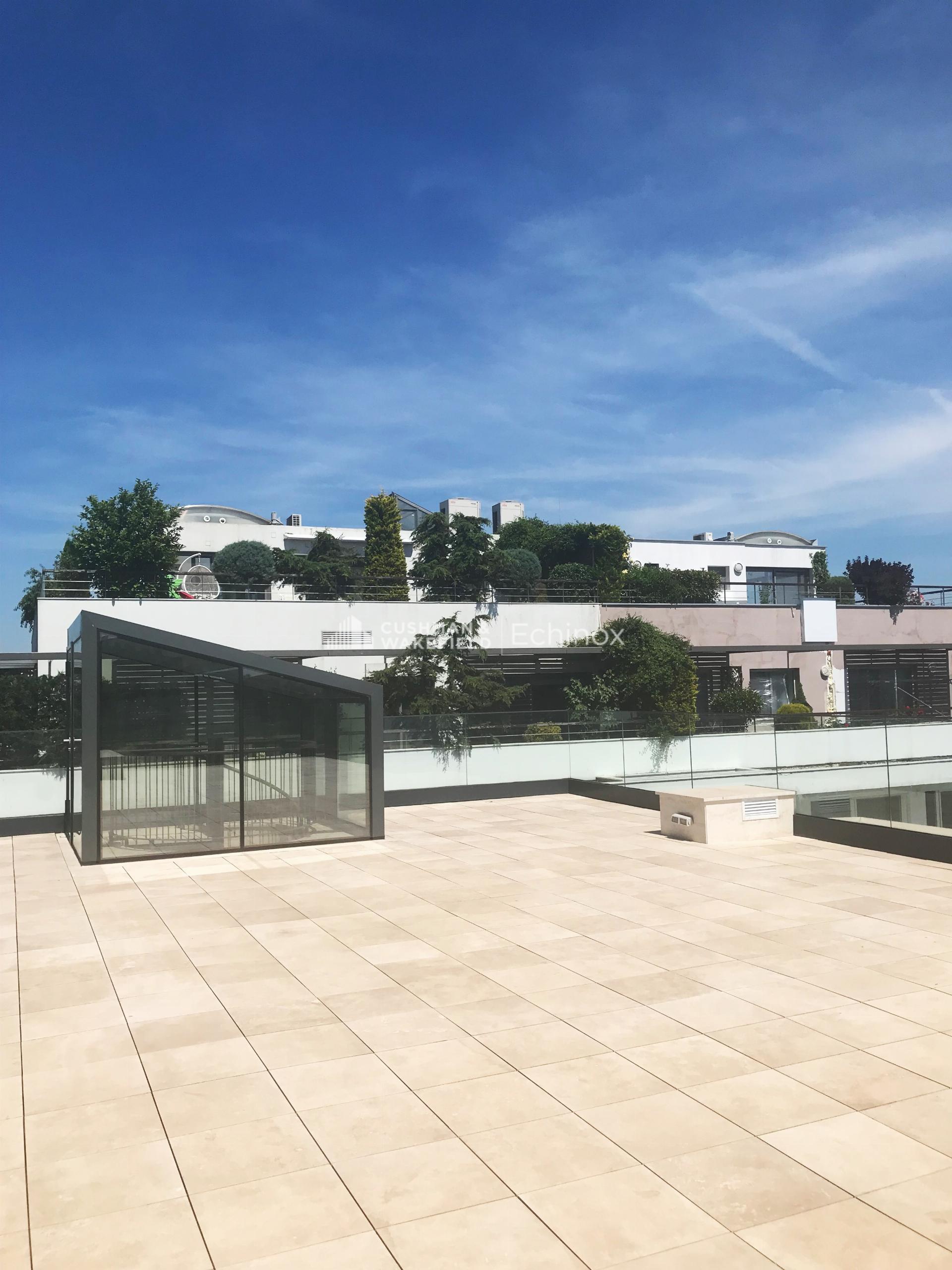 Primaverii Penthouse for Sale