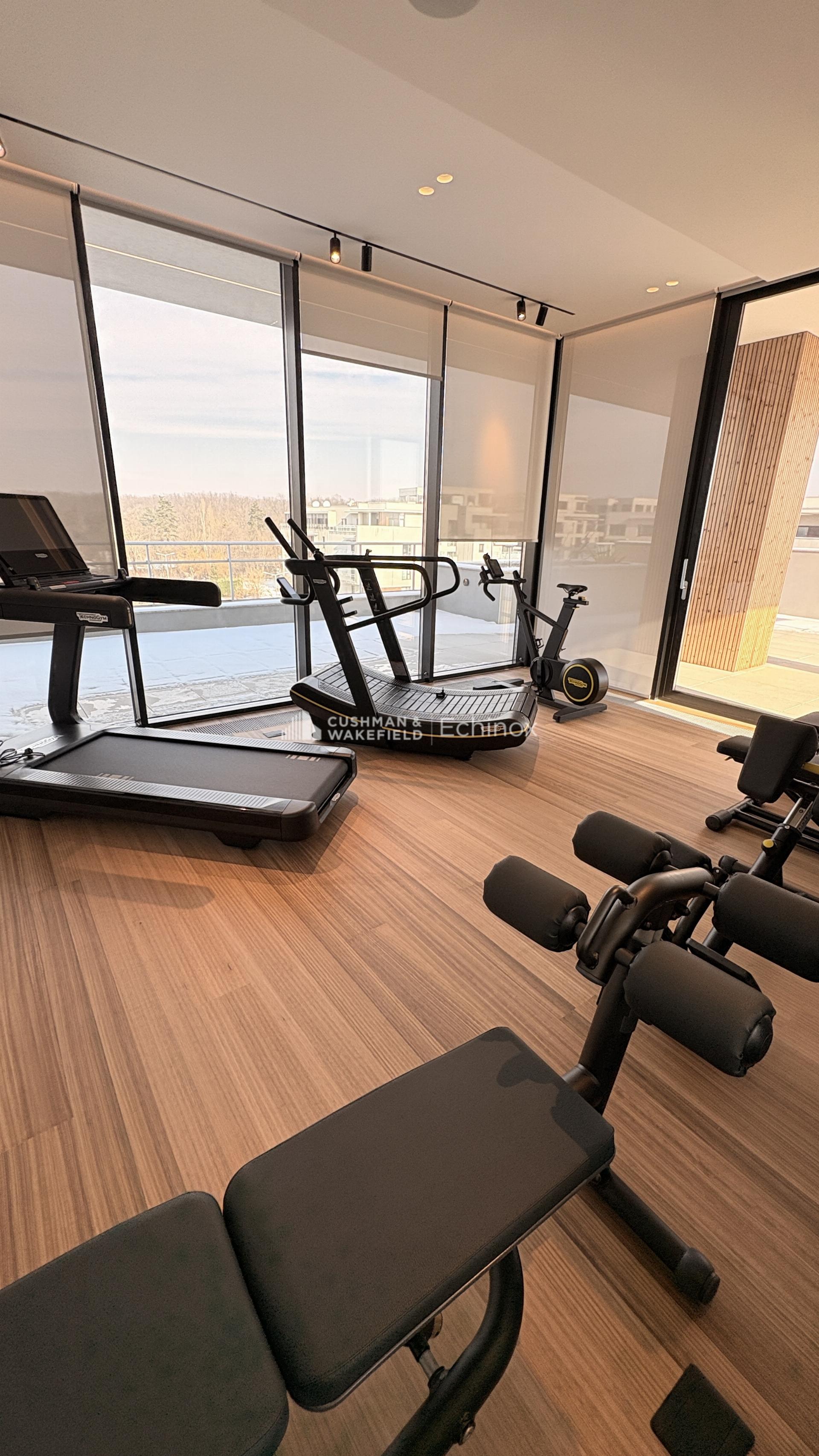 Baneasa Penthouse for Sale Baneasa Penthouse for Sale