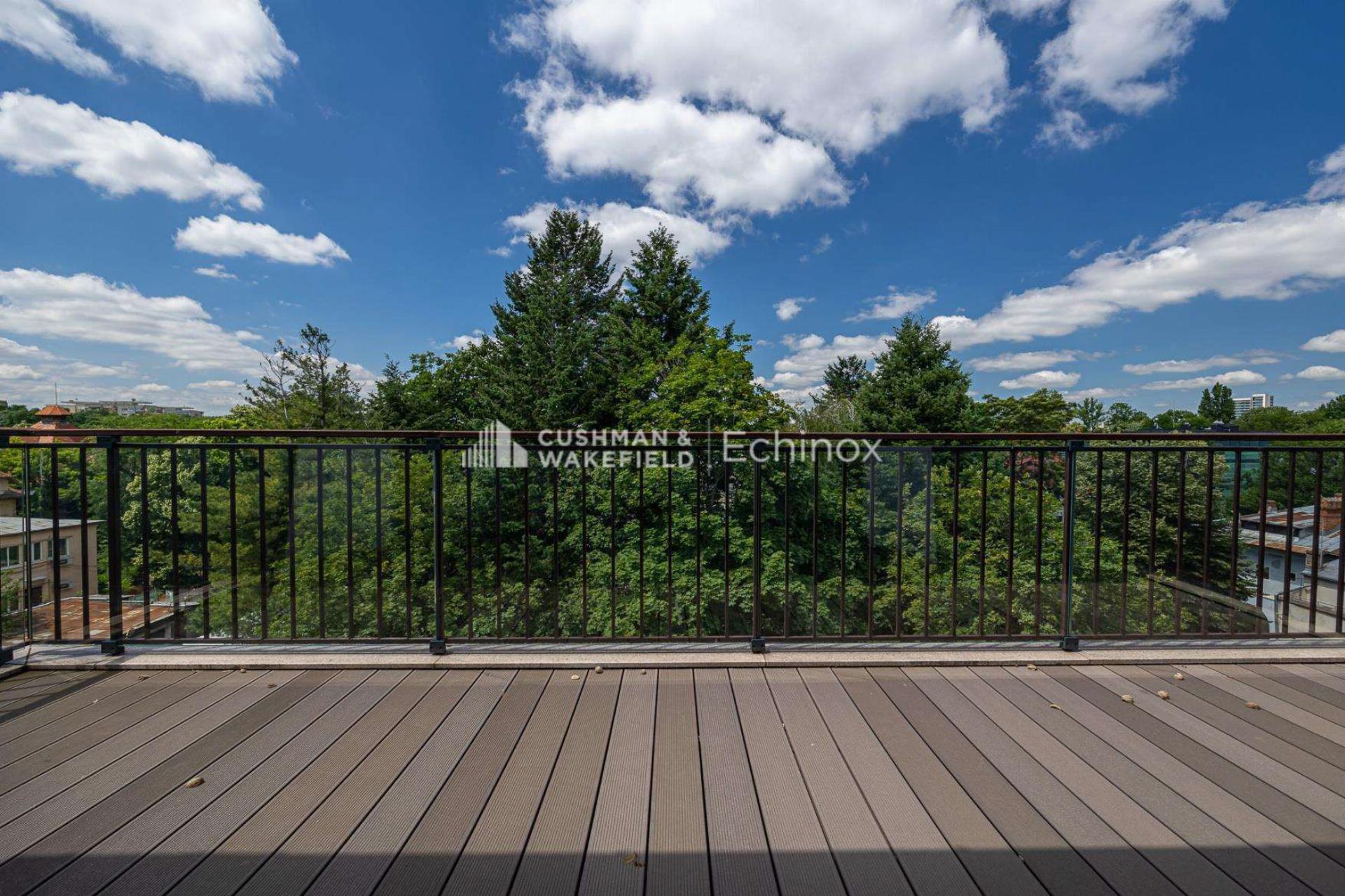 Kiseleff Penthouse for Sale Kiseleff Penthouse for Sale