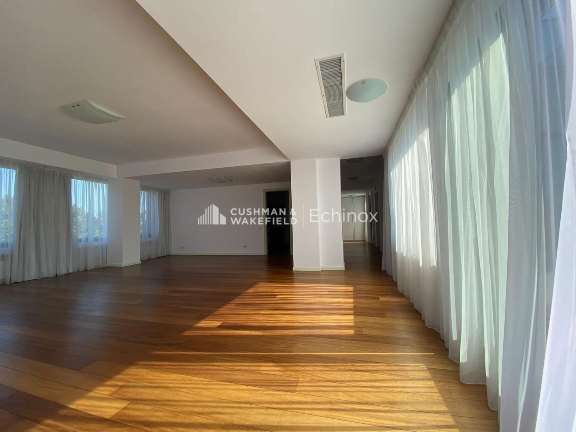 Kiseleff Penthouse de Vânzare/Închiriat