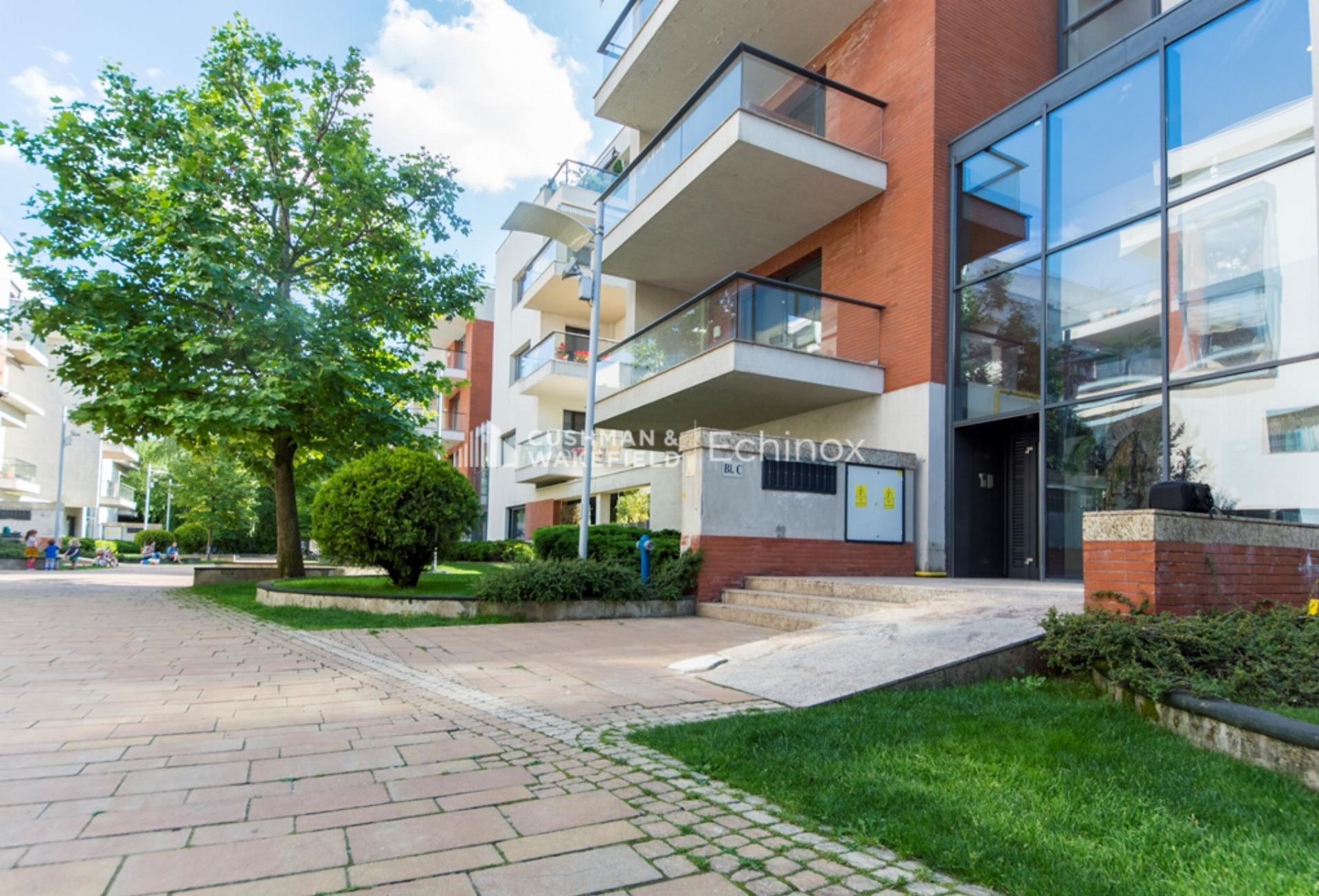 Dorobanti Penthouse to Let/for Sale Dorobanti Penthouse to Let/for Sale