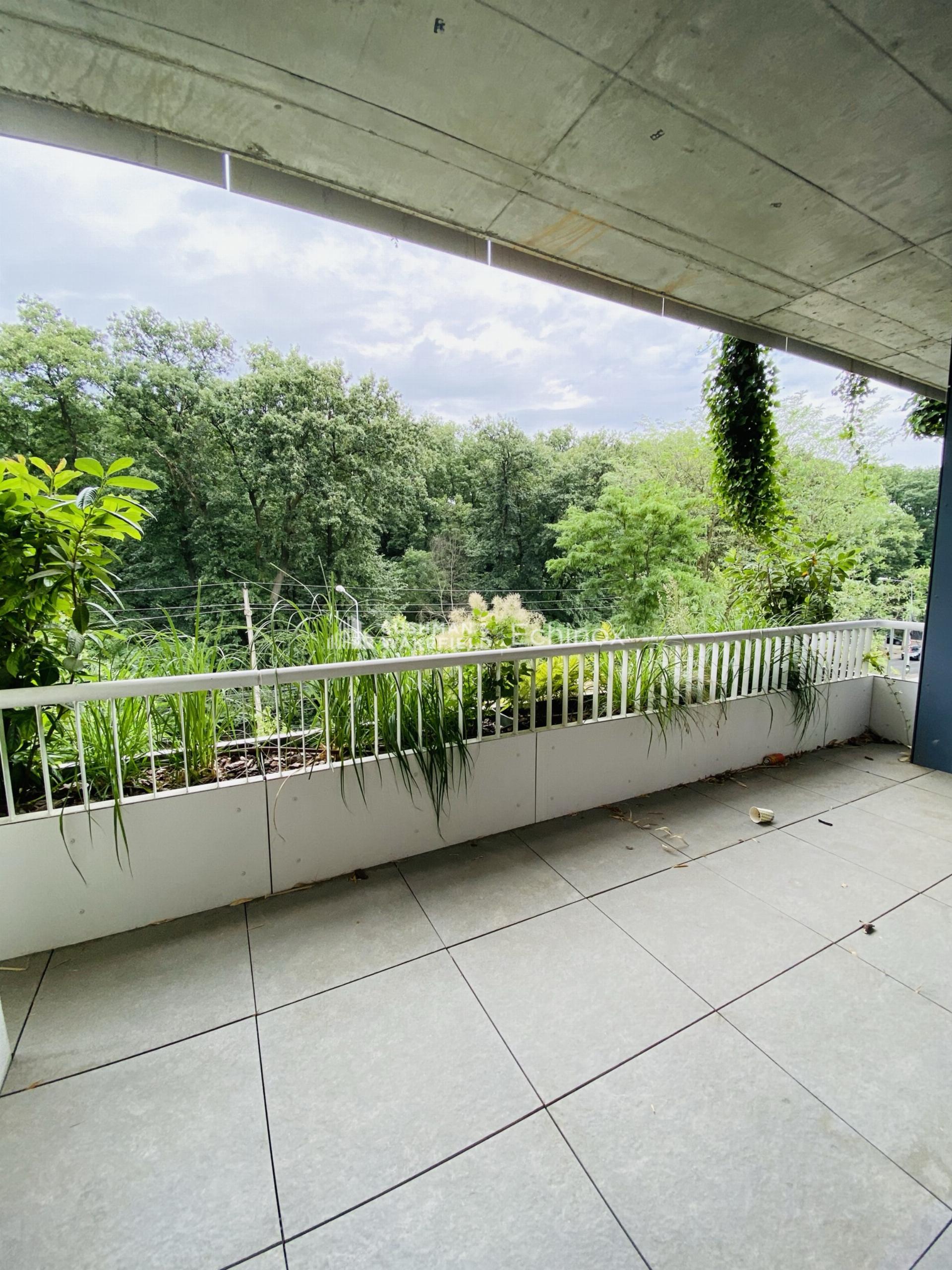 Baneasa Apartment to Let Baneasa Apartment to Let