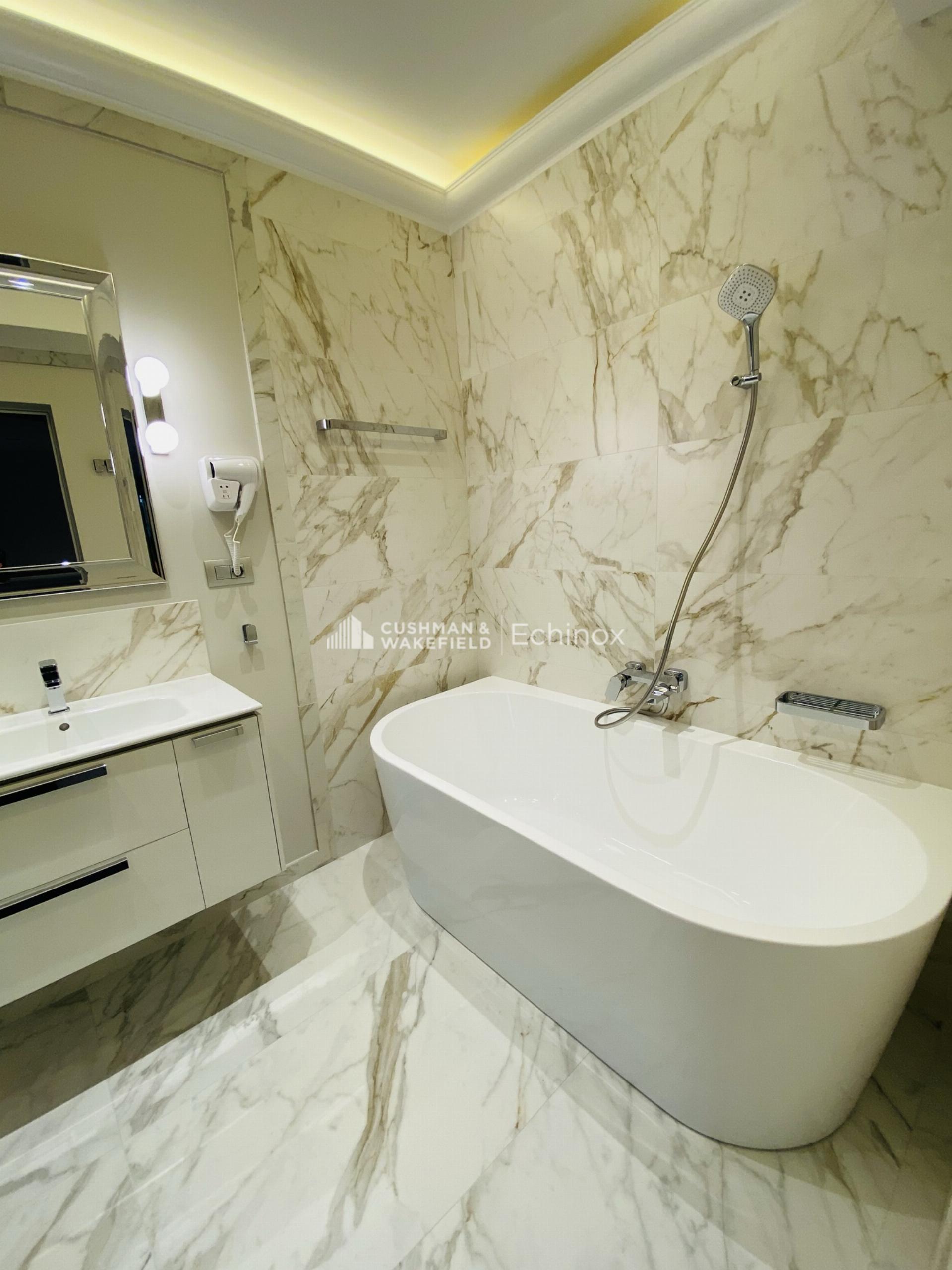 Herastrau Apartment to Let/for Sale Herastrau Apartment to Let/for Sale